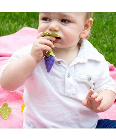 Innobaby Award-Winning Teethin Smart EZ Grip Fruit Teether - BPA Free Teether for Babies & Toddlers - Grape/Citrus/Berry - Buy Online on SooperMarket.com