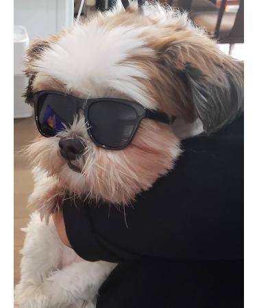 80s Style Pet Sunglasses for Small Dogs (Black) - Up to 15lbs - Buy Online on SooperMarket.com