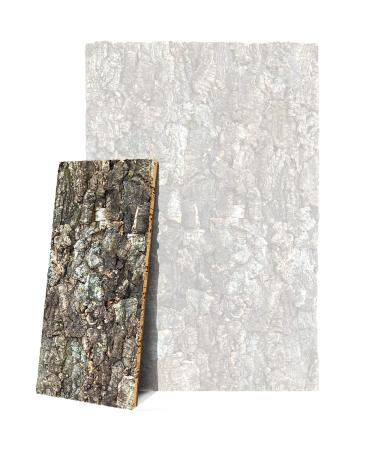 Kork-Deko Cork Back Wall (Background Panel) Extra Large Wall (3D Cork Backwall) 60 x 30 cm