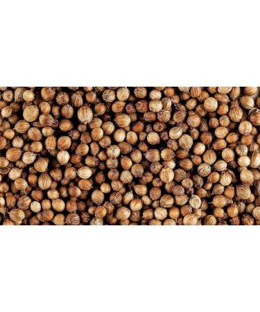 Nim's Whole Coriander | Coriander Seed Organic Gourmet Quality - Cilantro Seeds for Elevating Dishes 50g