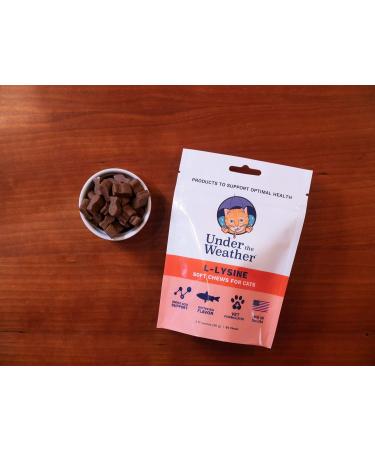 Under the Weather Pet Daily Cat L-Lysine | 60 Soft Chews | Vet Formulated & All Natural | Immune Support for Cats - Buy Online on SooperMarket.com