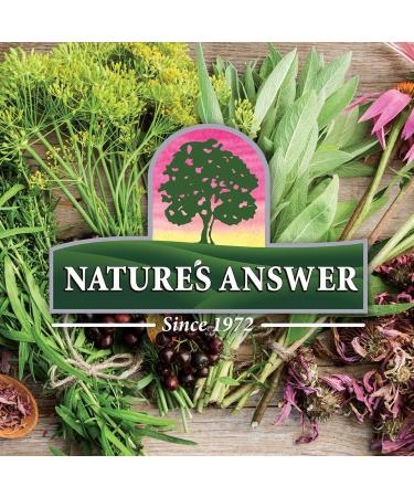 Nature Answer Sambucus Elderberry Syrup for Kids 120 ml Kid Friendly Immune Booster Daily Immune Support 4000 mg - Buy Online on SooperMarket.com