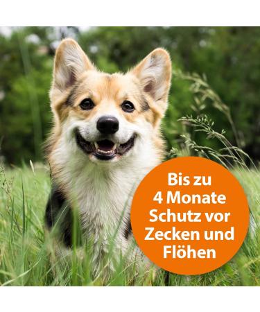 ARDAP Tick & Flea Protection Collar for Dogs 10-25kg | 4-Month Natural Defense | Sustainable 60cm Collar - Buy Online on SooperMarket.com