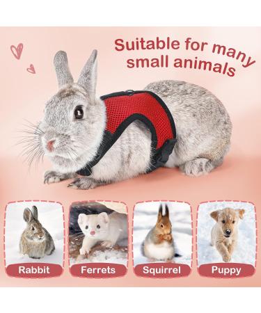Adjustable Soft Rabbit Dishes & Leash for Small Pets | Kitty & Bunny Walking Accessories - Red XS (20-27.5cm) - Buy Online on SooperMarket.com