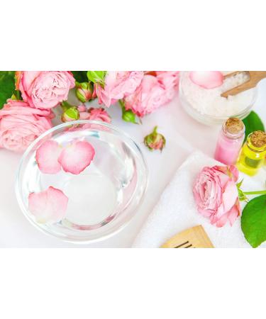 COCOJOJO Rose Water Hydrosol Spray Toner - Pure & Natural Hydrating Face Mist for All Skin Types - 8 OZ - Buy Online on SooperMarket.com