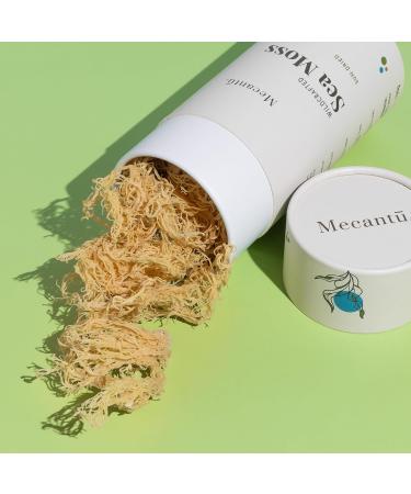 Mecantu Raw Sea Moss (Irish Sea Moss) - Ethically Sourced & Eco-Friendly | Create Healthy Vegan Food Drinks Sea Moss Gel and Sea Moss Powder | 2+ Months Supply (100g) main - Buy Online on SooperMarket.com