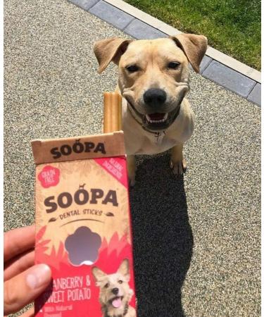 Soopa Cranberry and Sweet Potato Dental Dog Treats Vegan Grain Free Made in Ireland 3 Pack (12 Sticks) Cranberry and Sweet Potato 3 Pack (12 Sticks) - Buy Online on SooperMarket.com