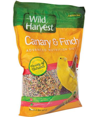 Wild Harvest B12492Q-001 Canary and Finch Food Blend - Premium Nutrition for Finches - One Size - Buy Online on SooperMarket.com