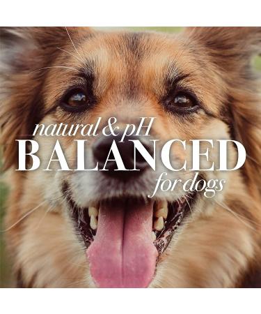 Burt's Bees Natural Hypoallergenic Dog Shampoo with Shea Butter and Honey - 16oz | For All Dogs and Puppies with Dry or Sensitive Skin | Made in USA - Buy Online on SooperMarket.com
