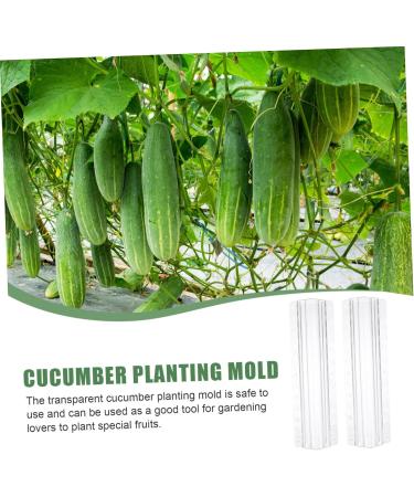 SUPVOX Horticulture 3pcs Vegetable Shaping Pots for Plants Garden Vegetable Growth Forming Fruit Pizza - Buy Online on SooperMarket.com