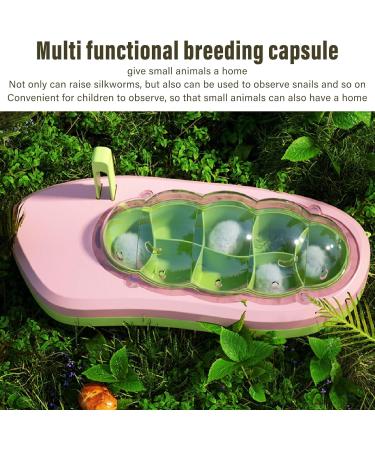 Observation Box Baby Silkworm Shape Silkworm Rearing Bucket Mesh Hole Design Multifunctional Educational for Reptiles () Pink - Buy Online on SooperMarket.com