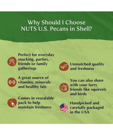 Pecans In Shell - Fresh Raw Unsalted Whole Nuts - 2 lbs Resealable Bag - Natural Buttery Taste, Easy to Crack - Buy Online on SooperMarket.com
