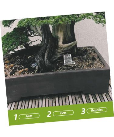 Balacoo 2pcs Pet Water Feeder Ants Water Feeding Bowl Ants Water Bowl Ants Waterer Cup Insect Feeder Plastic - Buy Online on SooperMarket.com