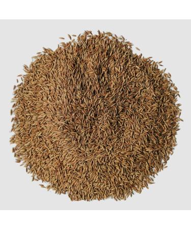 Roohts Cumin Seeds | 150g | Jeera | Whole | Organic | 100% Natural | Vegan | Premium Quality | Flavour | Spice | Aroma | Seeds | Cooking | Whole Spices | Kitchen Spices