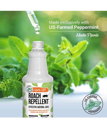 Mighty Mint 16oz Natural Peppermint Oil Spray - Cockroach Repellent - Buy Online on SooperMarket.com