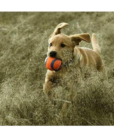 Buy Chuckit! Ultra Ball Large (Pack of 2) - Durable & Fun for Dogs | International Shipping Available - Buy Online on SooperMarket.com