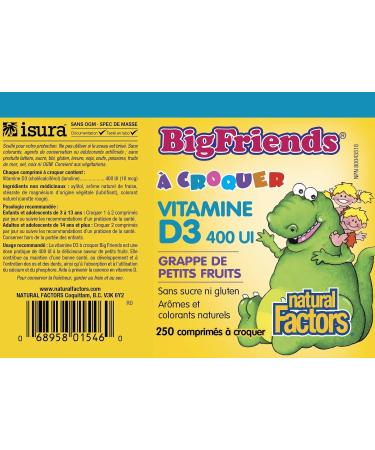 Natural Factors Big Friends Chewable Vitamin D3 400 IU Berry Bunch - 250 - Buy Online on SooperMarket.com