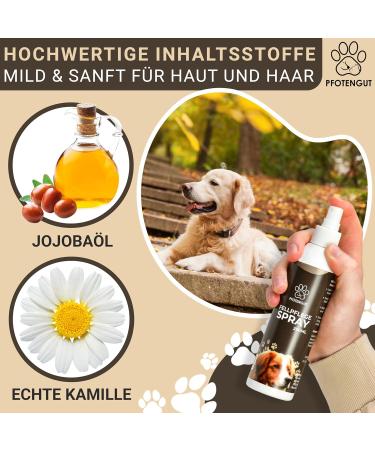 Pfotengut Dog Fur Care Spray 250ml | Vet-Developed Nourishing & Detangling Spray with Jojoba Oil & Chamomile | Silky Glossy Fur for All Dogs - Buy Online on SooperMarket.com