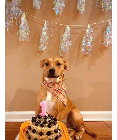 Lionet Paws Dog Bandana - Triangular Headscarf for Small Medium & Large Dogs - Orange Size L (Pack of 1) - International Shipping Available - Buy Online on SooperMarket.com