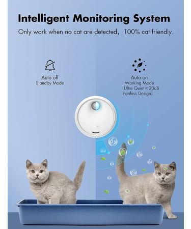 Qimic Cat Litter Deodorizer - Rechargeable Dust-Free Odor Eliminator for Litter Box, Shoe Box, and Kitchen - Buy Online on SooperMarket.com
