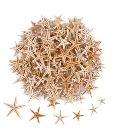 100 Pcs Small Starfish Star Sea Shell Beach for Craft 0.4-1 (0.4-1)100 Pcs