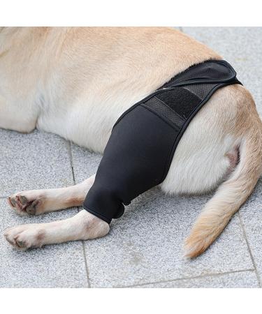 Dog Knee Brace Adjustable Dog Rear Leg Brace Soft Breathable Dog Knee Support Brace for Elderly Disabled Injured Dogs Both Back and Front Legs (S) - Buy Online on SooperMarket.com