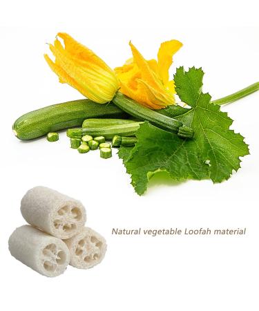6-Pack Exfoliating Loofah Pads - Men and Women's Spa Shower Scrubber Brush - Buy Online on SooperMarket.com