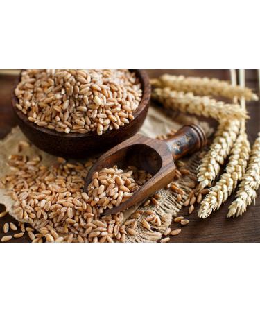Thames Organic Spelt Grain Nutty & Hearty Versatile Whole Grain for Baking & Cooking Organic & Non-GMO Rich in Plant Protein & Fiber - Ideal for Vegan Vegetarian Diets 1kg - Buy Online on SooperMarket.com