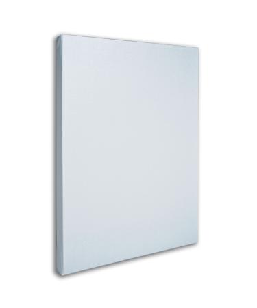 Trademark Fine Art Professional Blank White Canvas on Stretcher Bars, 35 by 47-Inch 35x47