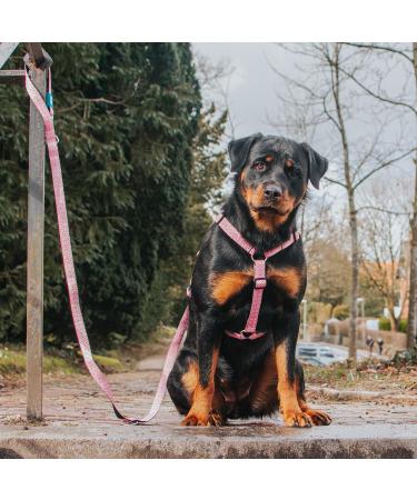Max & Molly H-Harness - Retro Pink XS | Shop Stylish & Comfortable Pet Harness for International Shipping - Buy Online on SooperMarket.com