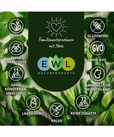 Buy EWL Natural Potato Fiber 1250g - Premium German Potato Flour | XXL Advantage Pack for Healthy Baking and Cooking - Buy Online on SooperMarket.com