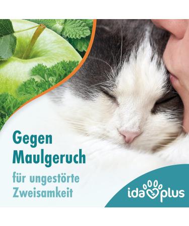 Ida Plus Dental Care Mini Sticks for Cats - Anti-Plaque Treats Freshens Breath Cleans Teeth - 80 Delicious Pieces - Buy Online on SooperMarket.com