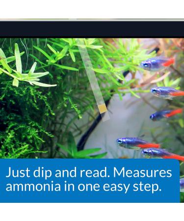 API Test Strips  for Variety of Water Parameters  Monitor Aquarium Water Quality and Help Prevent Invisible Water Problems That can be Harmful to Fish  Use Weekly and When Problems Appear 25 - Count Aquarium Water Testing - Buy Online on SooperMarket.com