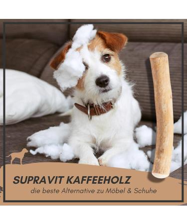 Supravit Natural Coffee Wood Chewing Bones for XS Puppies | Long-Lasting Play & Excitement | Caustab Puppy Chew Toys - Buy Online on SooperMarket.com