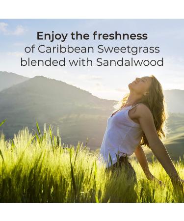 Botanica by Air Wick Plug in Starter Kit - Caribbean Sweetgrass & Sandalwood Scented Oil with 2 Warmers + 6 Refills - Eco Friendly Air Freshener with Essential Oils - Buy Online on SooperMarket.com
