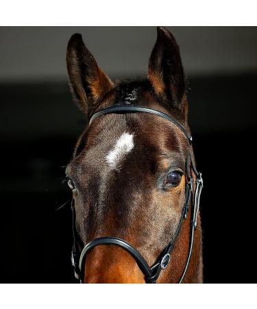 HORZE Genuine Leather Cross-Under Bitless Bridle with Web Reins - Black US Horse - Buy Online on SooperMarket.com