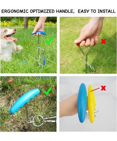 Petphabet Intestepflock Insertspirale - 3m Dog Leash with Floor & Earth Anchor | Teal Tie Out for Outdoor Use - Buy Online on SooperMarket.com