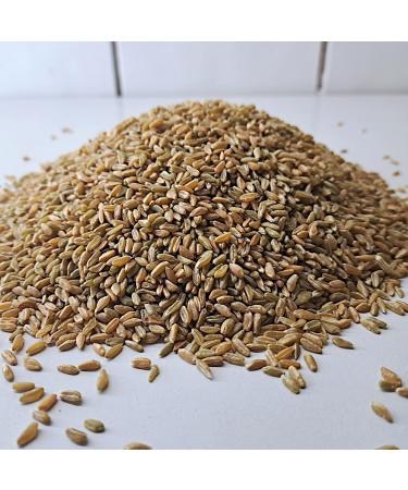 Purchase Premium 1000g Whole Grain Green Spelt from R tze Mill - Fresh & High Quality - Buy Online on SooperMarket.com
