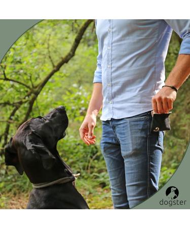 Dogster Treat for Dogs - Convenient Snack Bag with Carabiner | Quick Rewards for Your Pup - DOG01 - Buy Online on SooperMarket.com