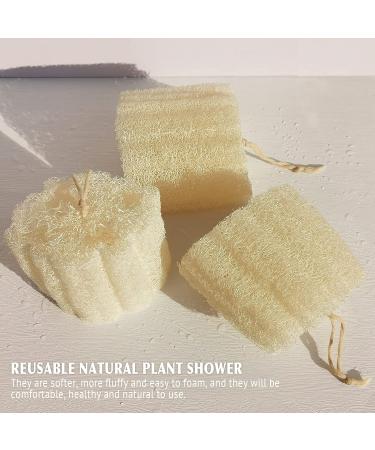 Natural Shower Loofah Sponge - Bath Exfoliating Body Scrubber - Soft & Easy Foaming Spa Lufa Sponges (2 Pack) - Buy Online on SooperMarket.com