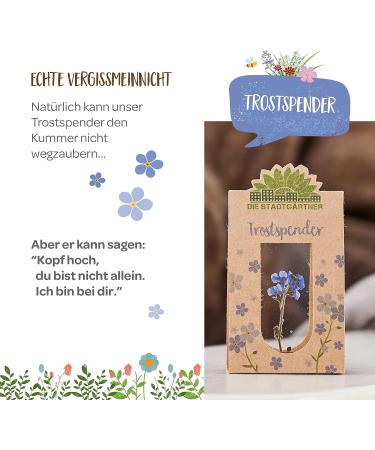 City Gardeners Trostspender: Forget-Me-Not Glass Gift | Handmade Consolation for Friends Teachers & Encouragement | Unique Farewell Gift from Germany - Buy Online on SooperMarket.com
