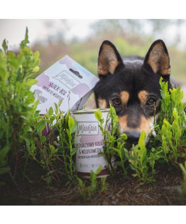 Mjamjam Premium Dog Snack - Hearty Wild Fillet Snackbox (70g) | Natural No Synthetic Preservatives | International Shipping Available - Buy Online on SooperMarket.com