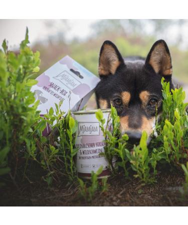Mjamjam Premium Wet Dog Food (6 x 200g) - Delicious Beef with Cooked Potatoes & Crispy Peas Deer & Wild Boar | International Shipping Available - Buy Online on SooperMarket.com