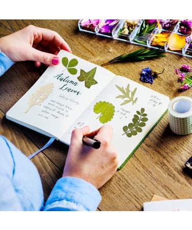 TimTin 84 Pieces Dried Leaves and Flowers Resin Craft Kit - Assorted Greenery for DIY Handmade Bookmarks - Vivid Style - Buy Online on SooperMarket.com