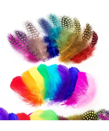 Audamp Craft Feathers 300pcs Colorful Feathers for Craft DIY Wedding Home Party Decorations Multi Color