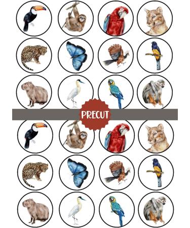 PRECUT Rainforest Animals Edible Cupcake Toppers - Jungle Animals Theme Premium Thickness SWEETENED VANILLA - wafer card disc cake decorations (Pack of 24) - Buy Online on SooperMarket.com