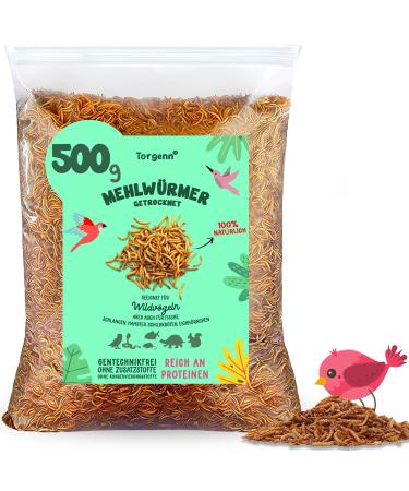 Torgenn |Mealworms dried 500g |Nutrient -rich |Food for wild birds fish turtles |100% natural |GVO-free without additives 500 g (1 Pack)