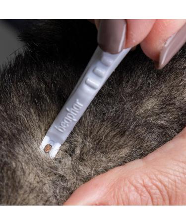 Beaphar Tick Pen for Dogs & Cats - Safely Remove Ticks Double-Head Design Reusable Portable - 12 cm - Buy Now! - Buy Online on SooperMarket.com