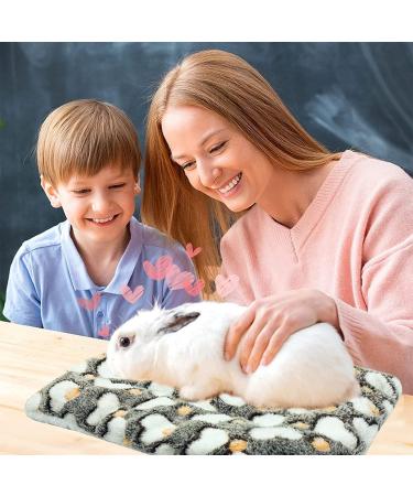 XMPEKO 3 Pack Small Animal Plush Bed - 40 * 30 * 3cm Warm Soft Fleece Guinea Pig Bedding Mat for Cage Accessories for Rabbit Bunny Chinchilla Squirrel Hedgehog Hamster 40*30*3cm - Buy Online on SooperMarket.com