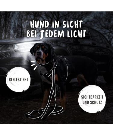 Rudelknig Dog Collar Paola | Adjustable Reflective Nylon Collar for Small & Medium Dogs | Size 3 (35-40cm) - Black - Buy Online on SooperMarket.com